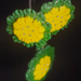 Green & Yellow Daisy Two-Piece Resin Earring & Necklace Set
